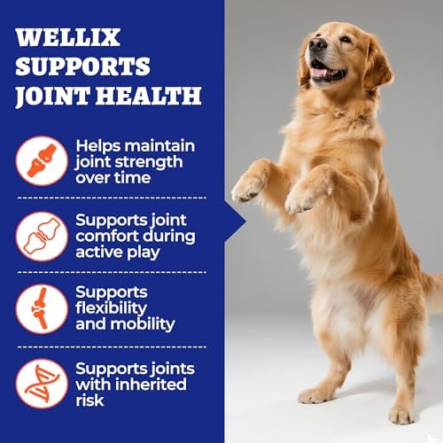 Wellix Dog Hip and Joint Supplement 9.17oz, with Glucosamine Chondroitin