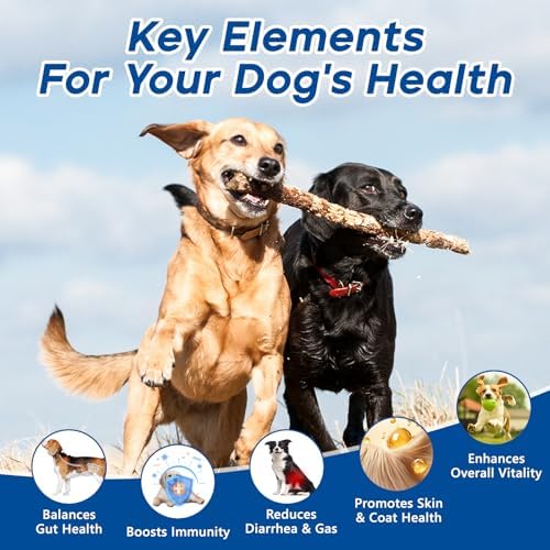Probiotics for Dogs Dog Probiotic Chews for Yeast Itch Relief Ears Skin Coat, Gut Digestive Health & Immune Support with 11Billion CFU Probiotics, 6 Enzymes, 4 Prebiotics, Greek Yogurts, Pumpkin