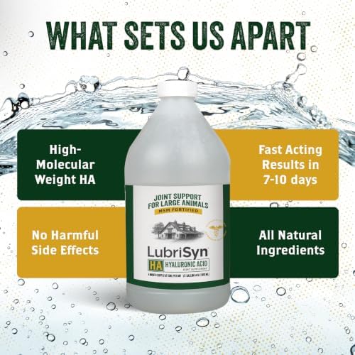 LubriSyn HA Hip & Joint Supplement Plus MSM for Dogs & Cats, 64 oz