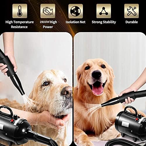 High Velocity Dog Dryer Blower, 2800W Stepless Adjustable Speed Dog Hair Dryer Pet Less Noise Dog Grooming Dryer with Adjustable Temperature with Hose,3 Nozzle Options