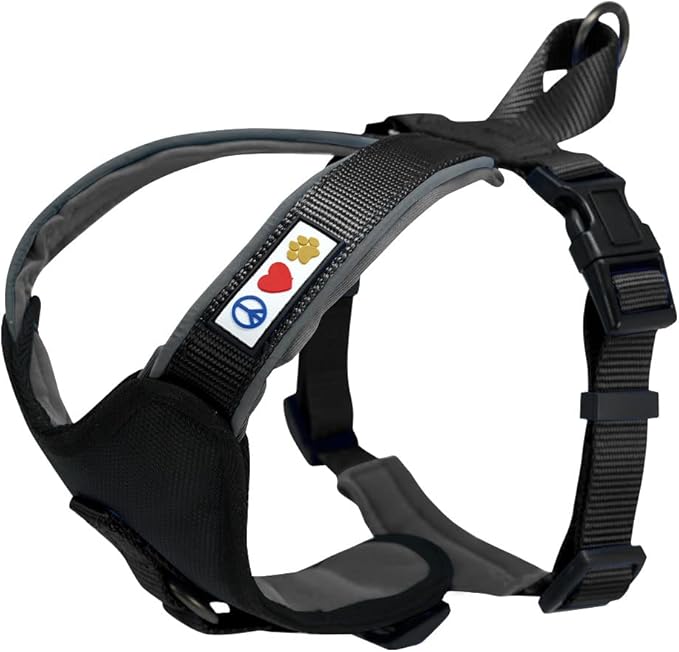 Pawtitas Reflective Padded Dog Harness for Small Dogs – Adjustable Puppy Step-in Vest | Fits Chest 18–22 in | No Pull Training Harness | S | Black