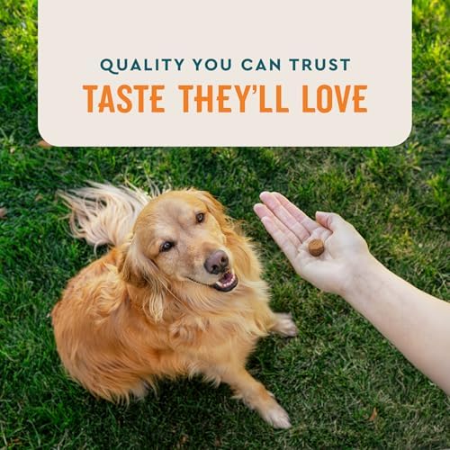 VetIQ Skin and Coat Supplement for Dogs, 90ct