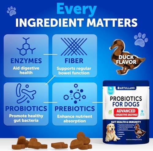 Probiotics for Dogs - 70 Chews - Dog Yeast Probiotic - Dog Probiotics