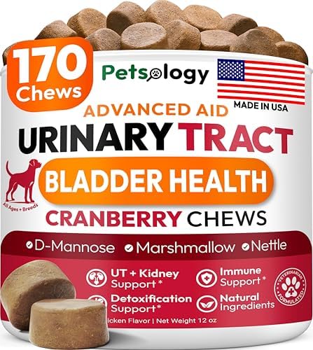Dog UTI Treatment - 170 Cranberry Chews for Dogs - Urinary Tract Infection | Bladder & Kidney Health Multivitamin, Cranberry Supplement for Dogs with D-Mannose, Dog Vitamins and Supplements, Made in USA