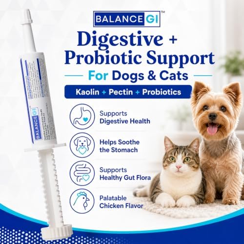 BalanceGI Probiotic Oral Paste for Dogs & Cats, Digestive Support, 15cc