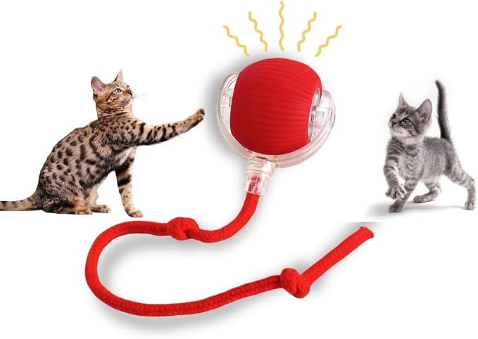 Interactive Cat Toy Ball – Automatic Self-Moving, Motion-Activated, USB-Rechargeable, Quiet LED Chase Modes, Indoor Exercise & Enrichment for Bored Cats & Kittens
