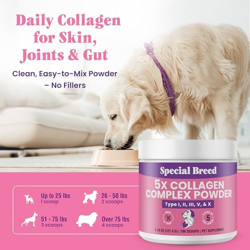 Premium 5X Collagen Powder for Dogs - Types I, II, III, V & X - Skin, Join, Gut & Coat Support - Collagen Powder with Bamboo & Vitamin C, 180 Scoops 4.28 oz