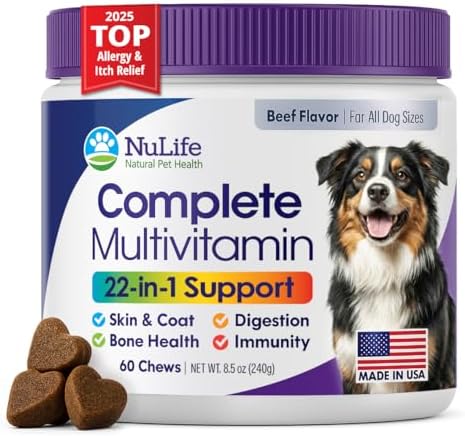 Dog Multivitamin Chewable - 22 in 1 Dog Vitamins and Supplements with Green Lipped Mussel & Omega 3 for Joints, Skin & Coat, Immune System - Senior & Puppy Multivitamin for Dogs - 60 Beef Chews