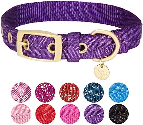 Blueberry Pet The Most Coveted Designer Mixed Metallic Thread Adjustable Dog Collar in Dazzling Tinsel Purple with Metal Buckle, Neck 7.5-10", for Small Breed