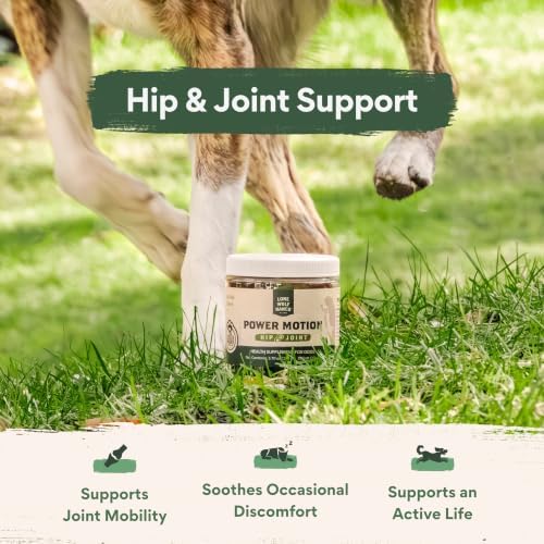 Chuck Norris Power Motion Hip & Joint Soft Dog Chews, 30 Ct