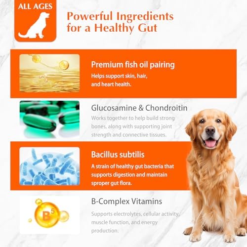 120 Dog Multivitamin Chews, Glucosamine Chondroitin Joint Support