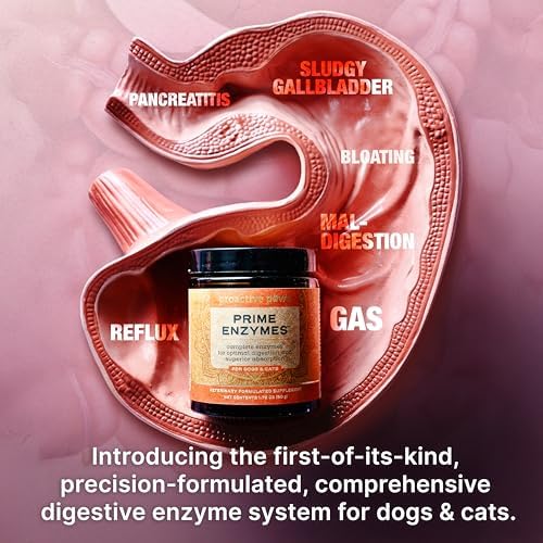 PROACTIVE PAWS Prime Enzymes – Digestive Enzyme Supplement for Dogs and Cats with Taurine, Papaya & Pineapple for Digestive Support and Nutrient Absorption