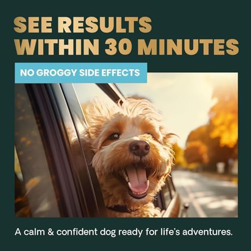 VetriScience Calm & Confident Chews, 120-Pack, 120 Count