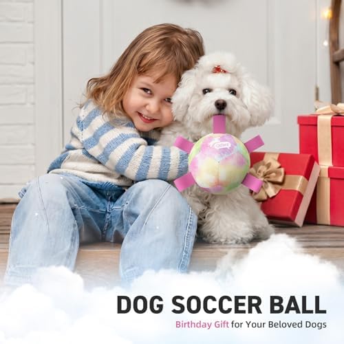 QDAN Dog Soccer Ball with Straps, Small Puppy Durable Dog Toys, 5 Inch | Balls for Tug, Puppy Birthday Gifts For Small Dogs, Water Pool Toy, Training Pet Puppy Toys for Dog Mentally Stimulating