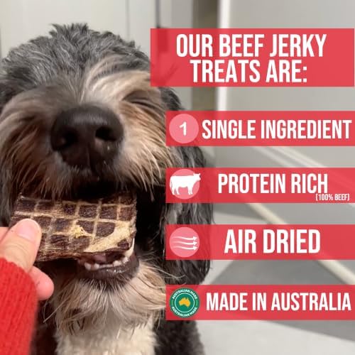 Doug's Dog Supplies Beef Jerky for Dogs - Single Ingredient, Grain-Free, High-Protein (1 Ounce (Sampler), Beef)
