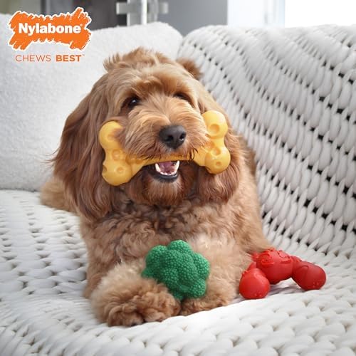 Nylabone Power Chew Toy Bundle, Dog Toys for Aggressive Chewers, 3 Pack | Dog chews toys for large dogs up to 50 lbs, filet mignon, cheese, and bacon flavors, textures to clean teeth