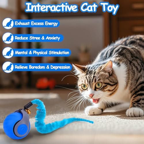 Mity rain Interactive Cat Toy Ball, Rechargeable Cat Toys for Indoor Cats | with Feather Tails for Kittens Chasing, Motion Activated Ball for Enrichment, Automatic Rolling Toys to Keep Them Busy Blue