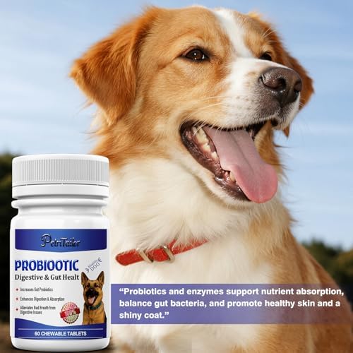 Probiotics Supplement for Dogs – Digestive Enzymes with Prebiotics for Gut Health, Diarrhea & Bowel Support, Immune Booster, Itch & Allergy Relief