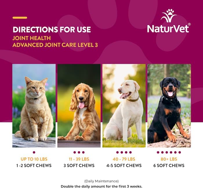 NaturVet Joint Health Level 3 Dog Soft Chew 15.2 oz. Count of 240