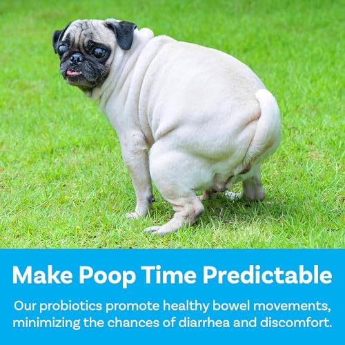 PawSafe® Dog Probiotics Soft Chews for Picky Eaters - USA Made, 120 Count - Digestive & Gut Health, Diarrhea, Gas Relief, Allergy & Itchy Skin Support - Natural with Pumpkin - Honey Chicken Flavor