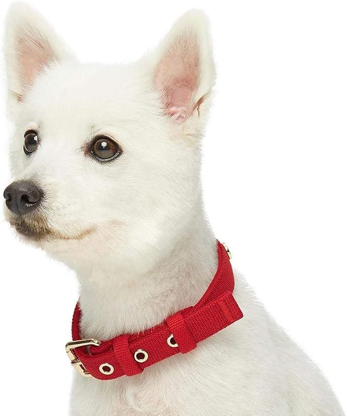 Blueberry Pet Classic Red Dog Leash & Collar Set, Puppy Essentials, Large Size, 4 ft Rope Leash, Neoprene Padded, Gentle Leader for Dogs, Heavy Duty Dog Leashes