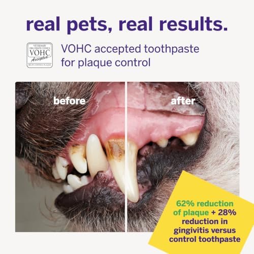 Petsmile VOHC Accepted Pet Toothpaste, London Broil 2.5 Oz, Cats + Dogs | VOHC Accepted, Calprox® Powered, Fights Plaque + Tartar, No-Brush Required, Human-Grade, 4-Month Supply, Clinically Proven