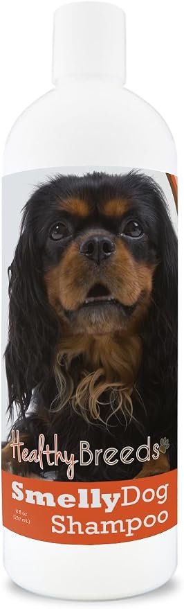 Healthy Breeds English Toy Spaniel Smelly Dog Baking Soda Shampoo 8 oz