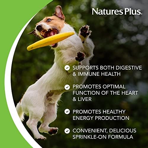 NaturesPlus FurBaby Probiotic for Dogs - 9.5 oz - Supports Digestive, Heart, Liver & Immune Health - 60 Servings