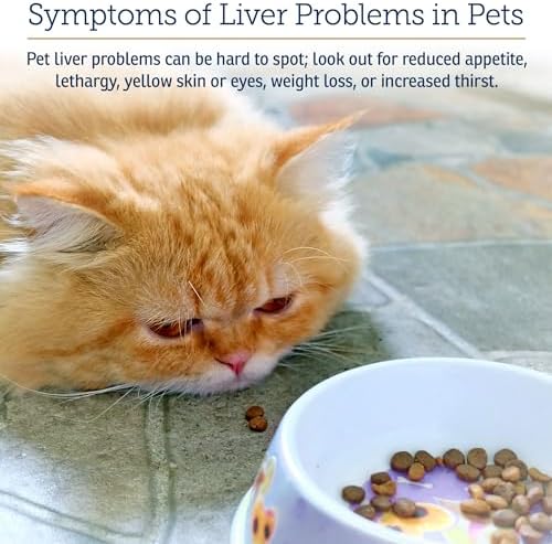 Rx Vitamins Liquid Hepato Support for Dogs & Cats - 4oz