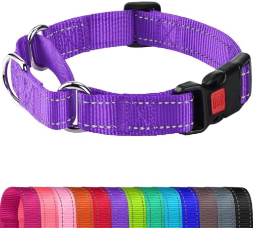 Joytale Martingale Collar for Dogs, Escape Proof No Pull, Purple, L
