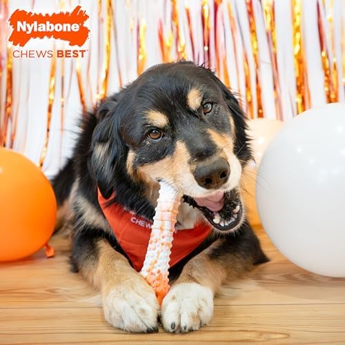 Nylabone Power Chew Textured Bone Dog Toy, Roasted Chicken Flavor, X-Large | Durable chew toys, limited edition, long lasting, discourages destructive chewing, teeth-cleaning textures, for dogs 50+ lbs