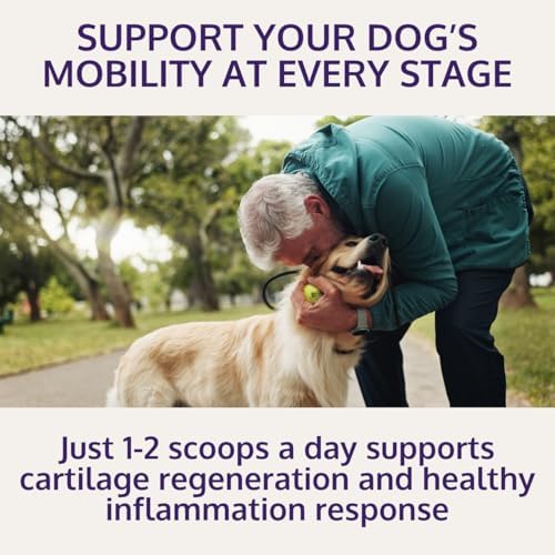 HOLI+ Collagen Supplement for Dogs - Hip and Joint Care Collagen Powder with Glucosamine and Hyaluronic Acid - Easy to Mix Functional Topper