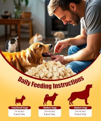 Freeze Dried Chicken Dog Cat Treats Pet Treats, 5.6 oz