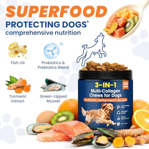 Multi Collagen Soft Chews for Dogs 250 Count for Hip & Joint Supplement Skin & Coat Health Cartilage Mobility Support with Glucosamine Probiotics Hyaluronic Acid Eggshell Membrane (Chicken Flavor)