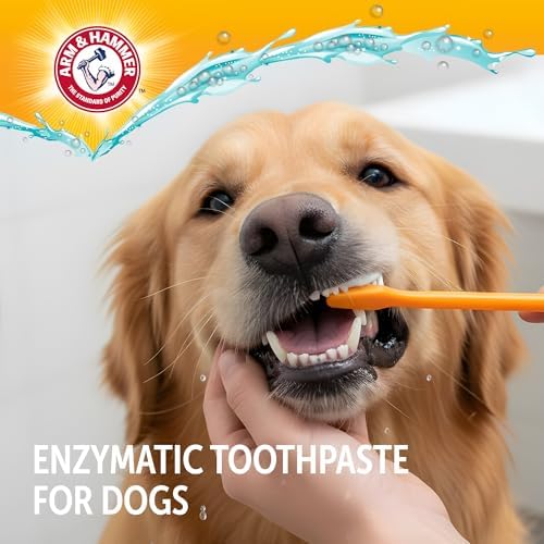 Arm and Hammer Complete Care Dog Dental Kit, Chicken Flavor, 2.5 Oz | Enzymatic toothpaste, toothbrush, and finger brush with baking soda and calcium for plaque and tartar control