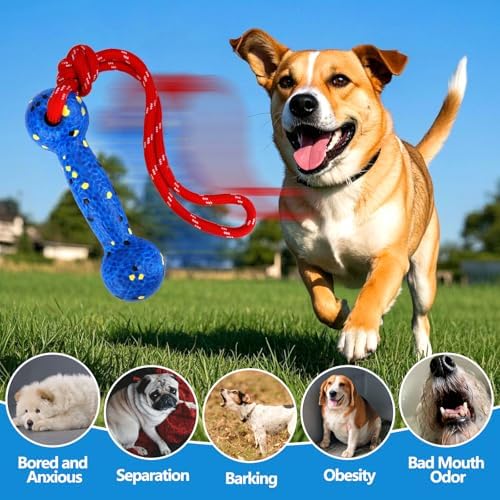 Mity rain Floating Dog Toys –E-TPU Water Pool Fetching Toy with Rope | for Small Medium Large Pet, Bumper Shape Indestructible Interactive Dog Chew Toys for Summer Outdoor Training Fun (Blue)