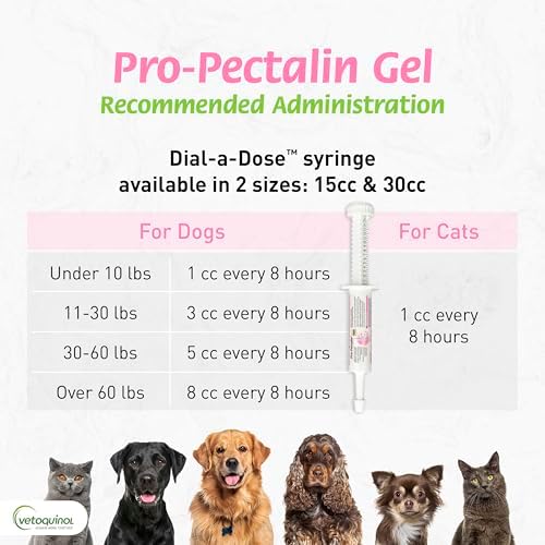 Vetoquinol Pro-Pectalin - Supports Digestive System & Stool Firmness for Dogs & Cats - Probiotic Supplement for Intestinal Support - For All Breeds - 30cc (Pack of 2)