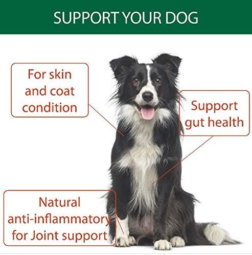 Natural Turmeric Powder for Dogs with Powdered Coconut Oil - Turmericle Anti-Inflamatory Dog Supplement for Healthy Hip & Joint Function - Normal Skin Health (1 Pack)