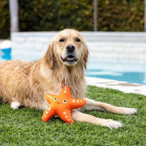 Fringe Studio Shelly Floating Dog Toy, Pet Shop Collection