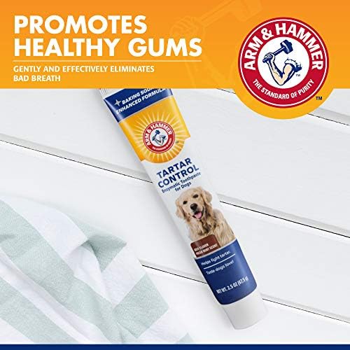 Arm & Hammer Tartar Control Enzymatic Dog Toothpaste, Beef, 2.5 Oz, 72-Pk | Enzymatic baking soda formula, meat flavor, plaque and tartar reduction, all dogs and puppies