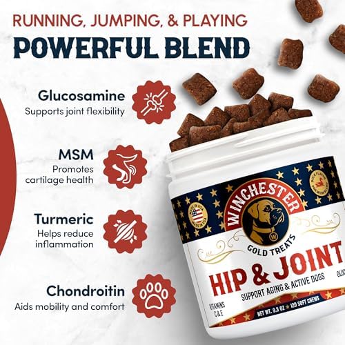 Hip & Joint Dog Supplement: All-Natural 120 Count Soft Chew Treat with Glucosamine, Chondroitin, MSM, Turmeric, Collagen, Vitamins C & E; Perfect for Large & Small Dogs; Made in USA by Winchester Gold