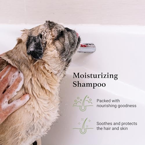 iGroom Argan+Vitamin E Dog Shampoo, Groom Like a Professional, Enhanced Cleaning Power, Reccommended pH Balance, Made in USA, 16 oz