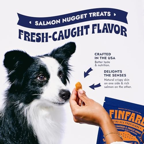 Finfare Freeze Dried Salmon Treats for Dogs, 4oz Nuggets