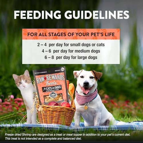 Northwest Naturals Raw Rewards Freeze-Dried Shrimp Treats - 1oz