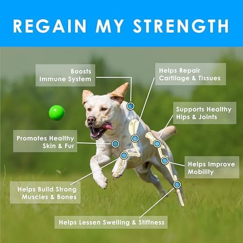 Hip and Joint Soft Chews for Dogs – 270 Count (Pack of 3 x 90) – 8-in-1 Formula with Glucosamine, MSM, Chondroitin – Joint Health Support – Chicken & Bacon Flavor