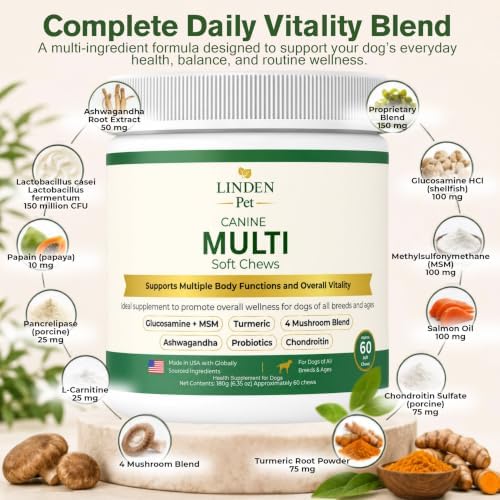 Dog Multivitamin Soft Chews, Probiotics, All Breeds, 60 Ct | Dog Vitamins, Daily Wellness, Salmon Oil & Omega-3, Skin & Coat, Gut Health, L-Carnitine, Turmeric, Senior Dogs, Joint Health
