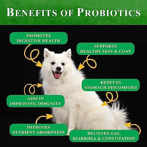 Probiotic Soft Chews for Dogs – 360 Count (4 x 90ct) – Digestive & Immune Support with 9 Probiotics, 8 Enzymes, 2 Prebiotics & 5 Vital Nutrients – Chicken Flavor