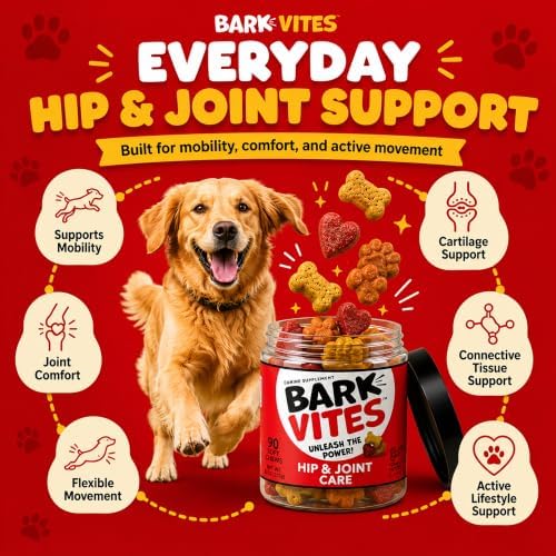 Glucosamine Chondroitin Hip & Joint Chews for Dogs, MSM, 90 Count