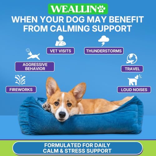 WEALLIN Calming Chews for Dogs, Hemp, Chicken, 200 Chews