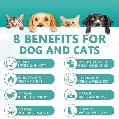 (3 Pack) Max Potency Hemp Oil for Dogs & Cats, 3-Pack